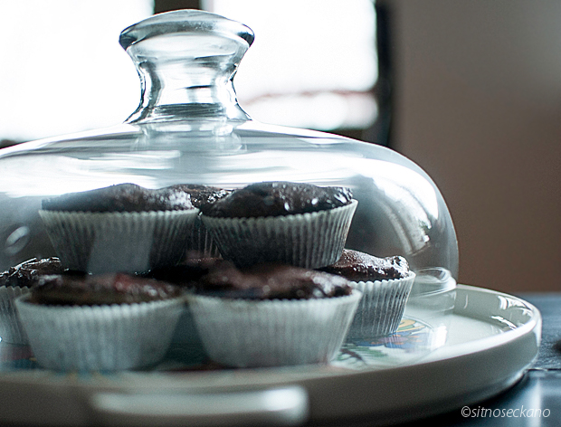 chocolate_coconut_muffins-29